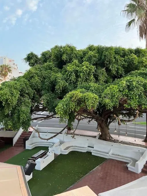 Cozy Apartment Costa Adeje Spain