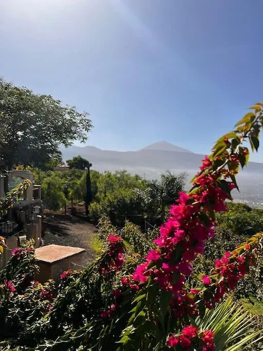 Cozy Apartment Costa Adeje Costa Adeje (Tenerife)